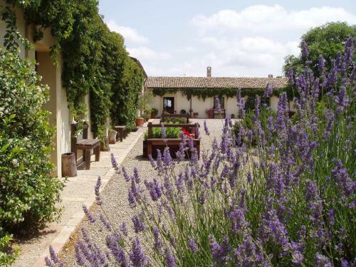 Agroturismo Carrera Della Regina