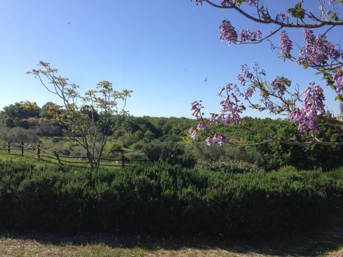 Agroturismo Carrera Della Regina