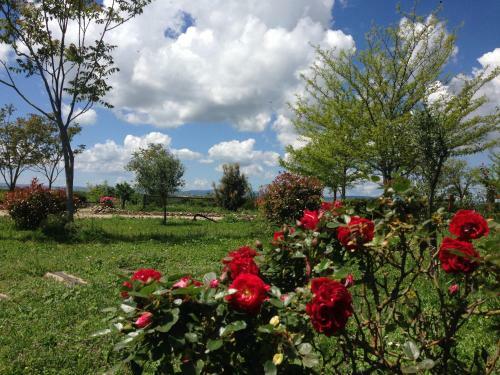 Agroturismo Carrera Della Regina