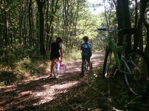 Agroturismo Carrera Della Regina