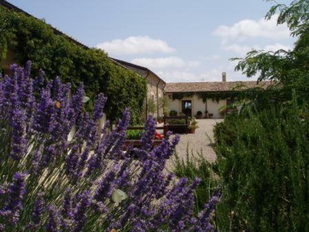 Agroturismo Carrera Della Regina