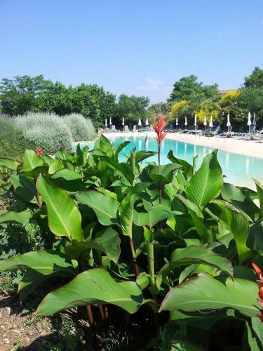Agroturismo Carrera Della Regina