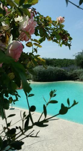 Agroturismo Carrera Della Regina