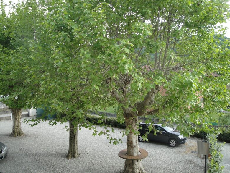 Hostal Locanda Del Brinsc