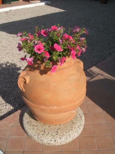 Bed & Breakfast Locanda Rossa