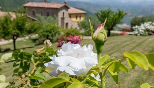 Agroturismo Agriturismo Tenuta Di Biscina