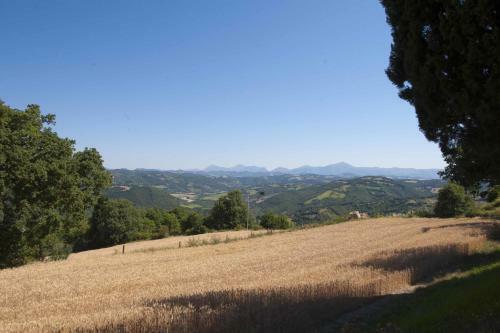 Agroturismo Agriturismo Tenuta Di Biscina