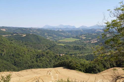 Agroturismo Agriturismo Tenuta Di Biscina