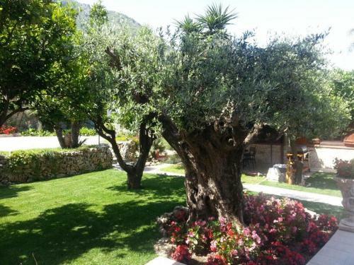 Bed & Breakfast Villa Le Favole