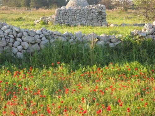 Bed & Breakfast Aira Te Finu