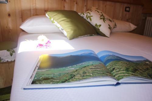 Agroturismo Agriturismo Antico Filare