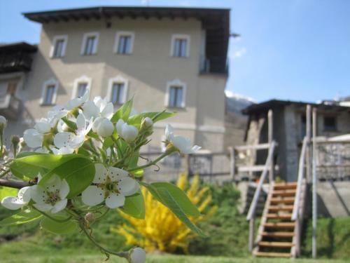 Agroturismo Agriturismo Antico Filare