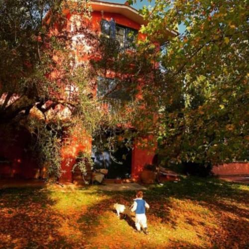 Bed & Breakfast Granica