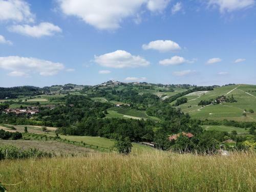 Bed And Breakfast La Volpe Tra Le Vigne