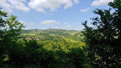 Bed And Breakfast La Volpe Tra Le Vigne