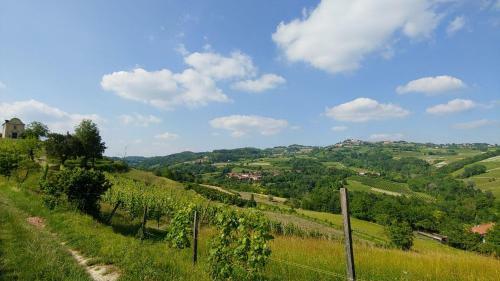 Bed And Breakfast La Volpe Tra Le Vigne