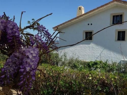 Apartamento Bilancora Sd01 Lu Bagnu