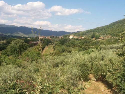 Rustic Holiday Home In Castigli On Fiorentino With Terrace