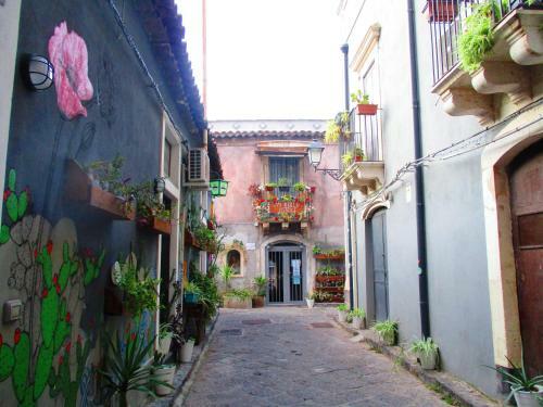 Bed & Breakfast Diletta Oasi