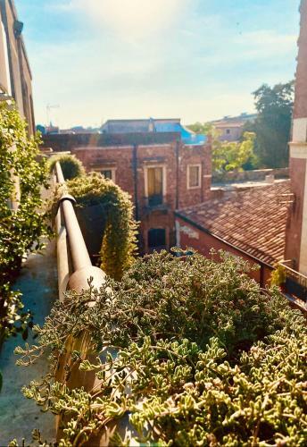 B&B Stramondo