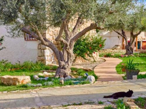 Mystical Villa In Cava D'aliga With Private Swimming Pool