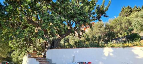 Hostal Skyview Cefal�