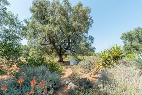 Ceglie Messapica Villa Sleeps 8 With Pool And Air Con