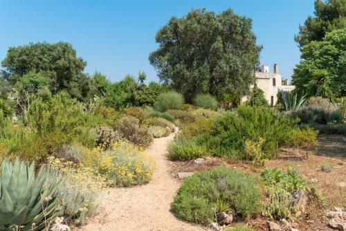 Ceglie Messapica Villa Sleeps 8 With Pool And Air Con