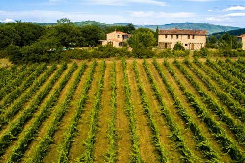 Villa La Vigna - I Borghi Della Selavaccia