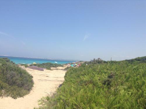 Sea Views Apartments Fully Equiped_punta Prosciutto