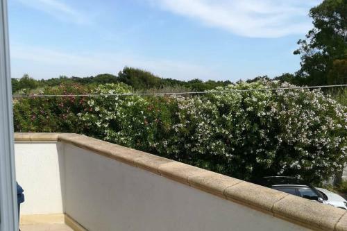 Ottima Location Lido Tab�