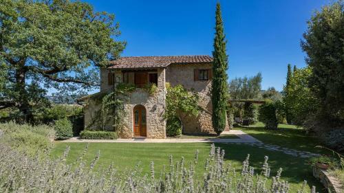 Villa Il Vecchio Ulivo 10