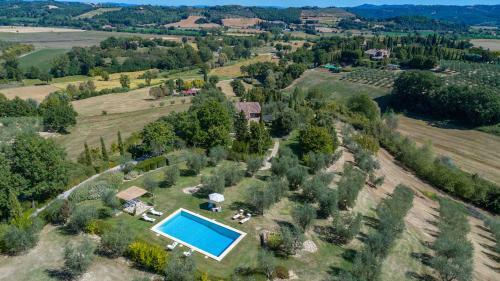 Villa Il Vecchio Ulivo 10