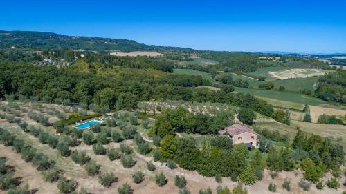 Villa Il Vecchio Ulivo 10