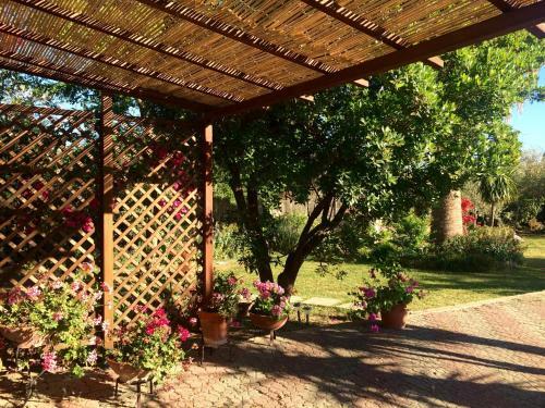Casa Del Mirto Bianco