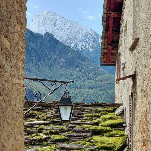Foresteria B&B Vecchiascuola