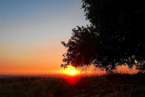 Apartment With One Bedroom In Chiaramonte Gulfi With Wifi