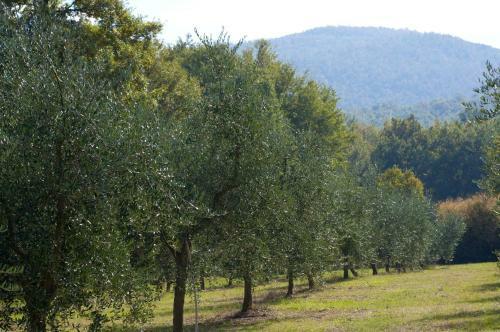 Hotel La Tenuta Dei Ciclamini