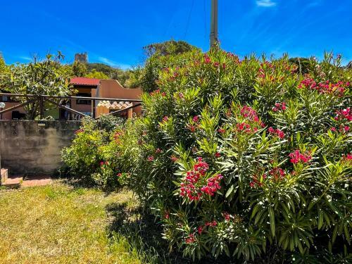 Torre Di Chia Holiday Home