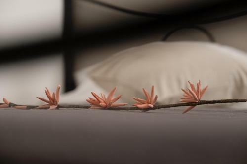 Hostal Citt� Di Castello Rooms