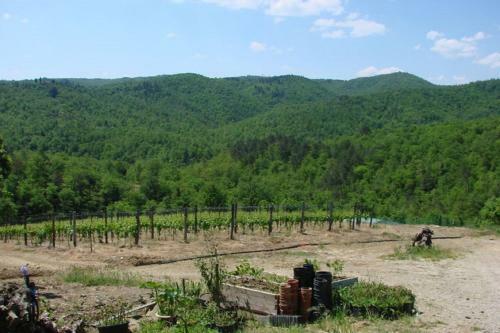 Civitella In Val Di Chiana Villa Sleeps 8 Pool Wifi