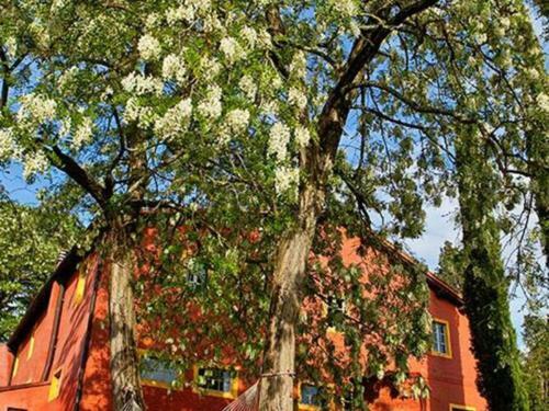 Lush Apartment In Castelfiorentino With Swimming Pool