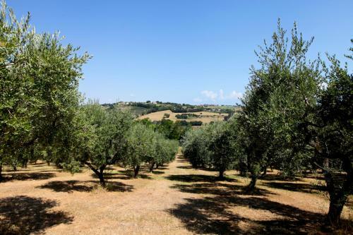 Civitanova Alta Villa Sleeps 8 With Pool And Air Con