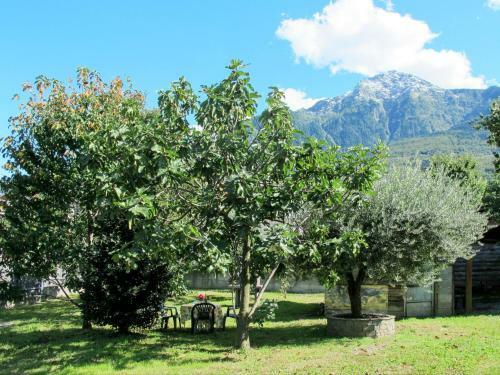 Locazione Turistica Kelly - Cco545