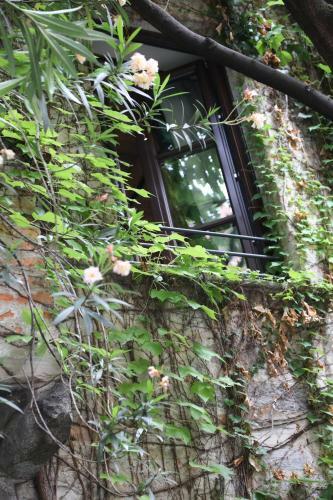 Hostal Suites&atelier Lake Como