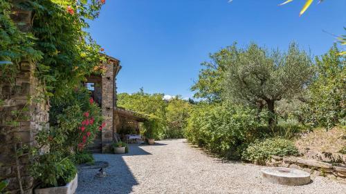 Villa Contessa Matilde 16