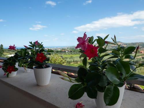 Bed & Breakfast A Casa Di Sofy