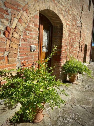 Apartamento Agriturismo Agrocentorio Tuscany Private Villa