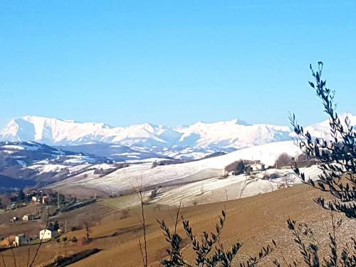 B&B Casale I Tre Cipressi