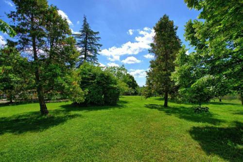 Montecchio Apartment Sleeps 3 With Pool